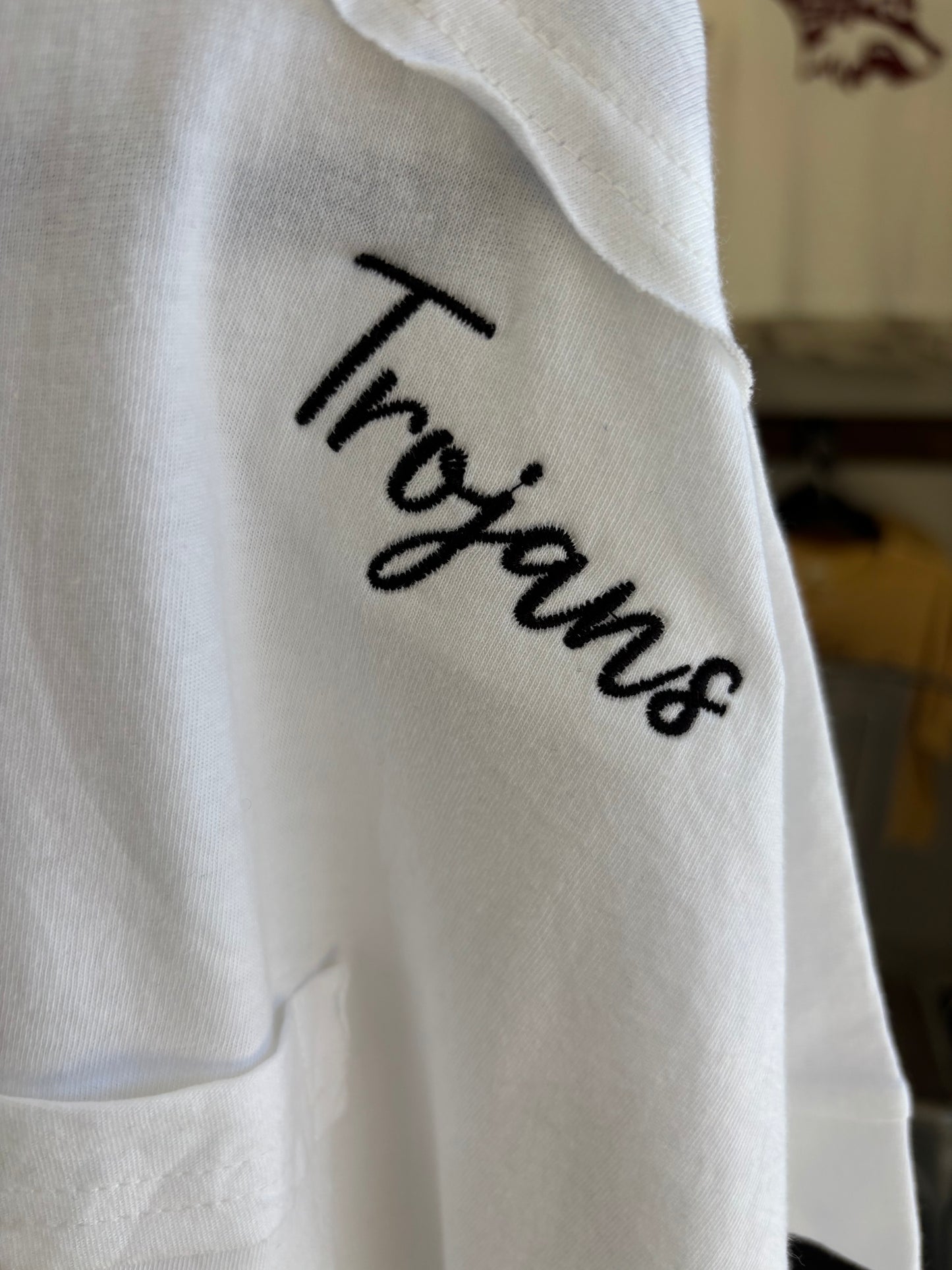 Hot Springs Crop T-shirt