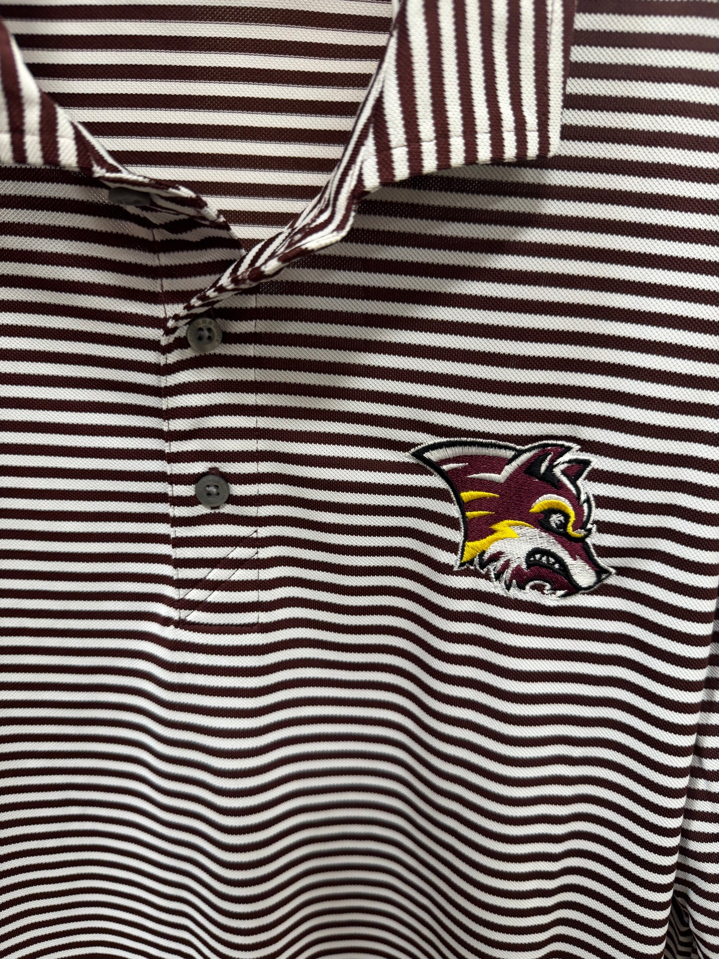 Lake Hamilton Polo