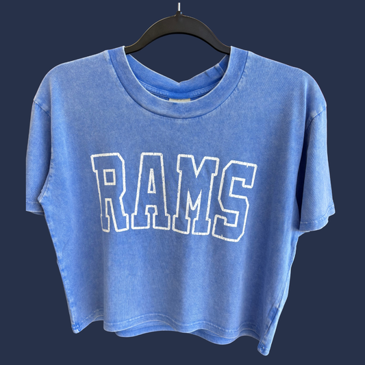 Lakeside Crop T-shirt