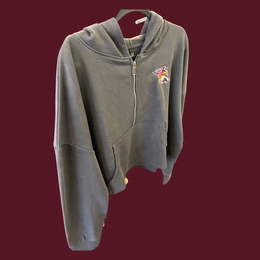 Lake Hamilton 1/4 Zip Crop Hoodie